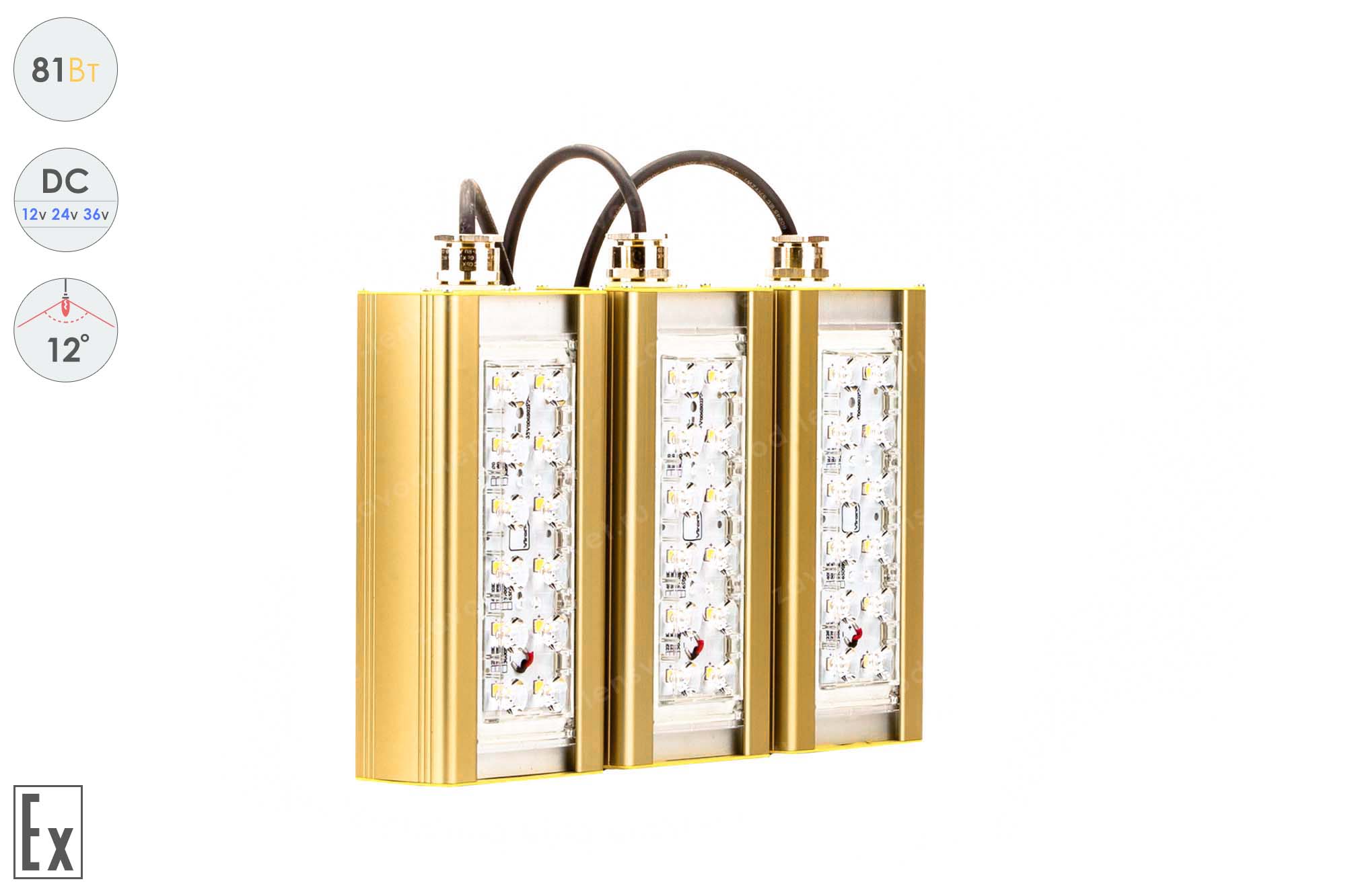 Низковольтный светодиодный светильник Прожектор Взрывозащищенный GOLD, консоль K-3 , 81 Вт, 12° 